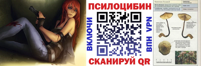 Галлюциногенные грибы Psilocybe Усолье